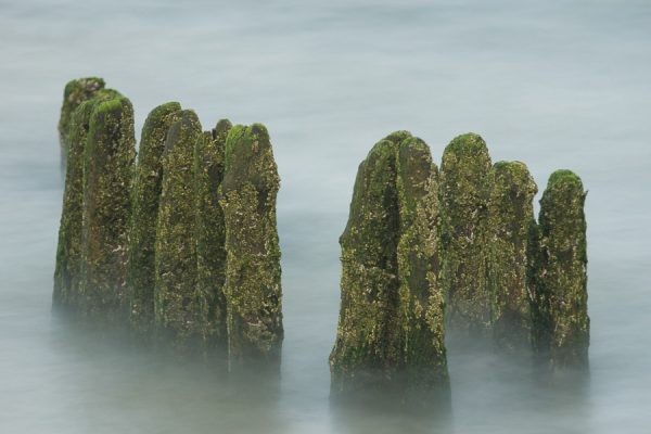 Sylt, Buhnen, Langzeit